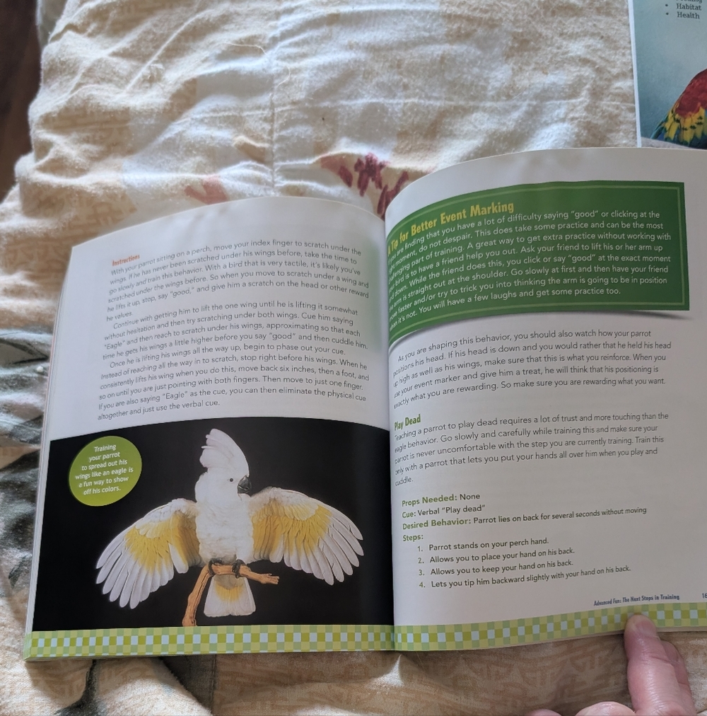 Set Of Three Parrot Training Books - Picture 4 of 8